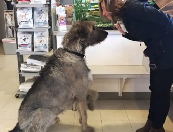 A girl is talking to her dog