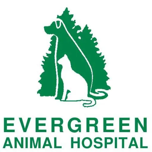 Evergreen Animal Hospital