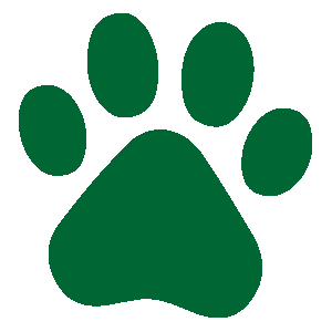 paw-print-icon