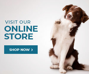 Visit our Online Store! Shop Now!