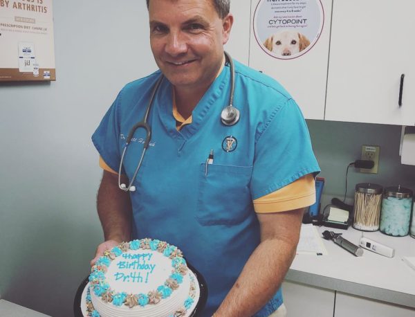 A veterinarian holding a cake
