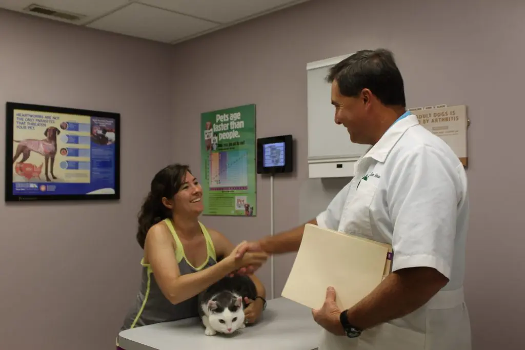 The female owner of the cat shook hands with the vet