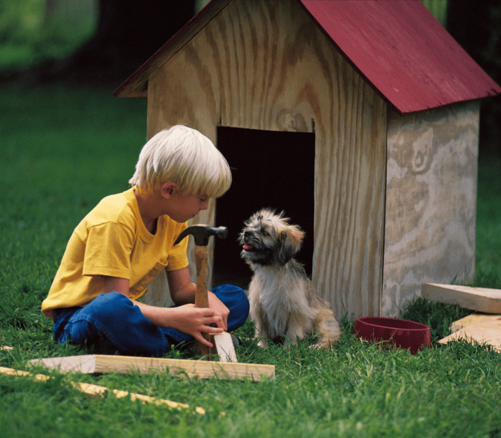 brown small dog with a boy in yellow shirt fixing a dog house